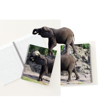 Elephant Notebook by CatsEyeViewGifts at Zazzle