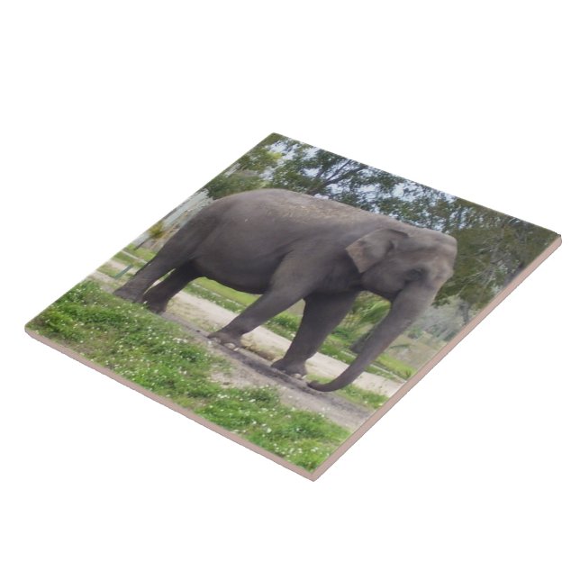 Elephant on Peaceful Meadow Path Ceramic Tile (Side)