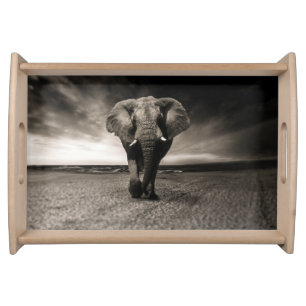 Elephant on the Run Serving Tray