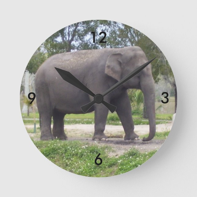 Elephant on Tranquil Trail Time Round Clock (Front)