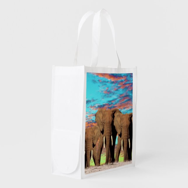 Elephant Opal Sunrise, Grocery Bag (Front Side)