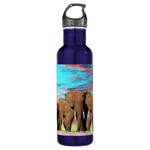 Elephant Opal Sunrise Water Bottle