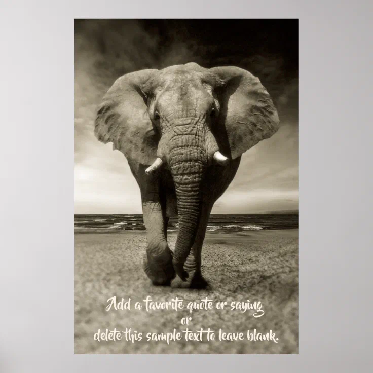 elephant quotes dr seuss