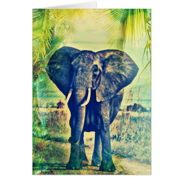 Elephant Palms Cards (Front)