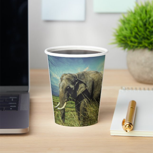 Elephant  paper cups (Insitu)