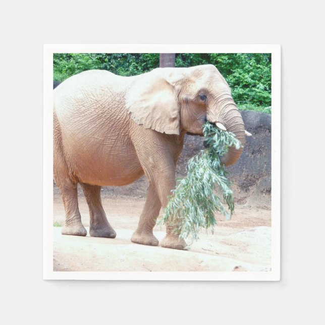 Elephant paper napkins (Front)