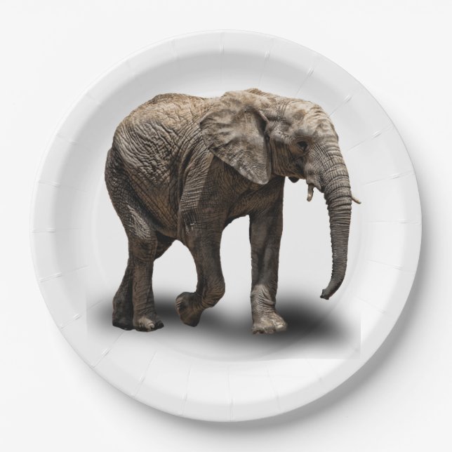 ELEPHANT PAPER PLATES (Front)