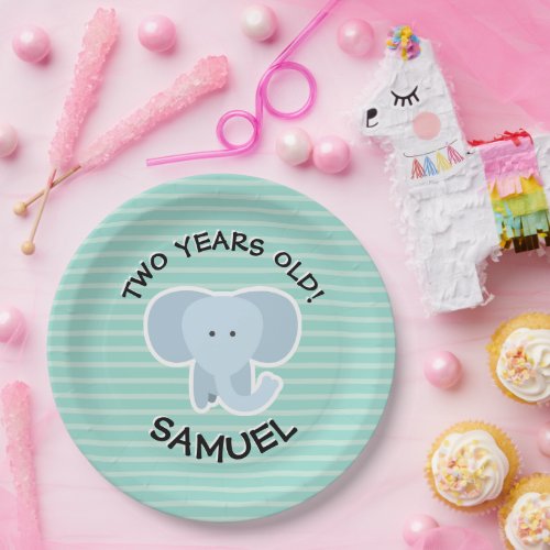 Elephant Party Animals _ Two Year Old Birthday Paper Plates