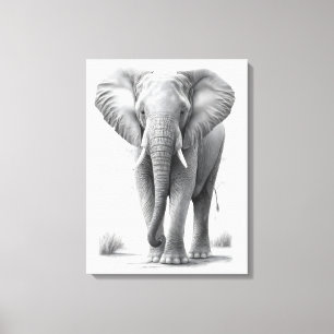 Elephant Pencil Drawing Canvas Print