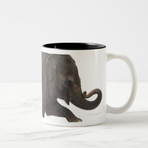 Elephant performing trick on box Two_Tone coffee mug