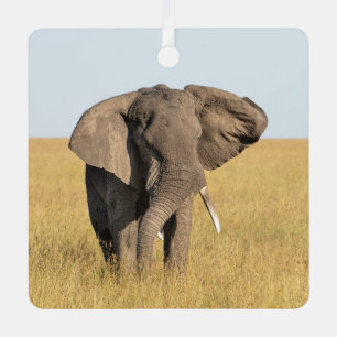 Elephant Personalize Name Photo Christmas Metal Ornament