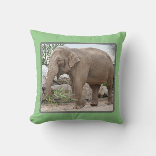 Elephant Photo Cushion