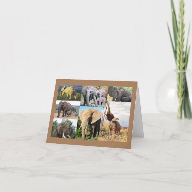 Elephant Photo Holiday Card (Front)