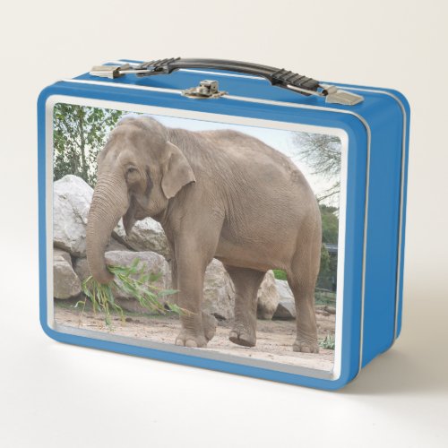 Elephant Photographic Metal Lunchbox