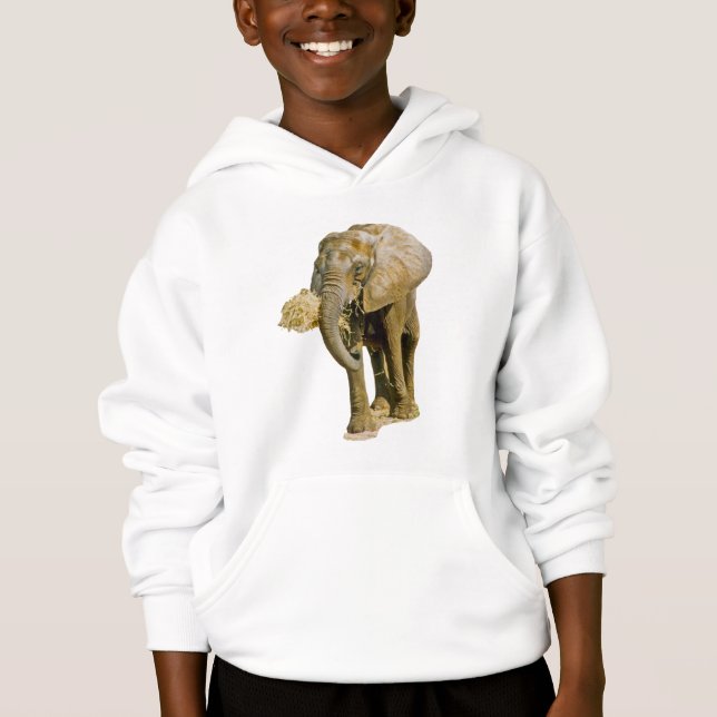 Elephant Picture Hoodie (Front)