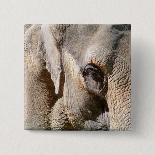 ELEPHANT PINBACK BUTTON (Front)