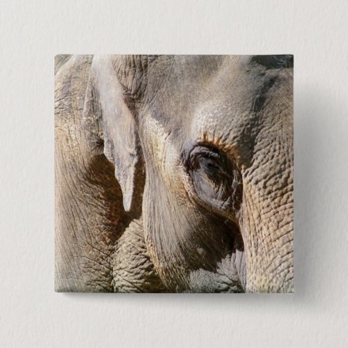 ELEPHANT PINBACK BUTTON