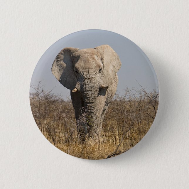 Elephant Pinback Button (Front)