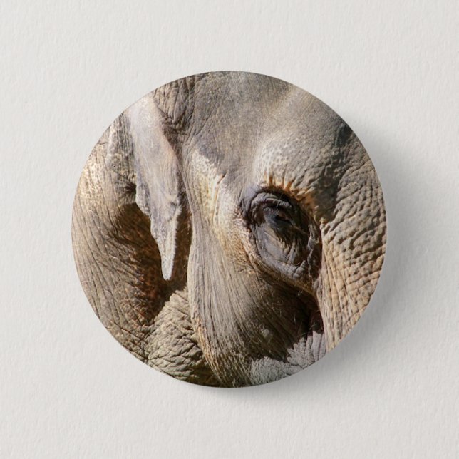ELEPHANT PINBACK BUTTON (Front)