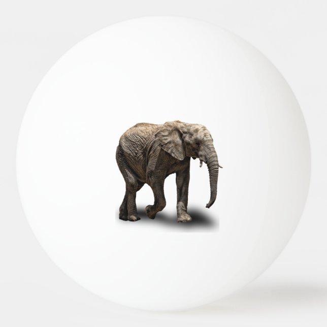 ELEPHANT Ping-Pong BALL (Front)