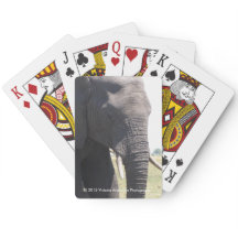 Elephant Playing Cards