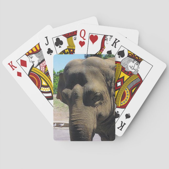 Elephant playing cards (Back)