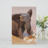 Elephant playing with water (Standing Front)