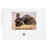 Elephant playing with water cards (Back Horizontal)