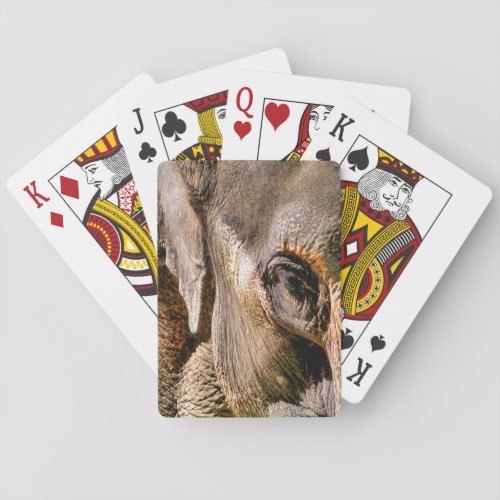 ELEPHANT  POKER CARDS