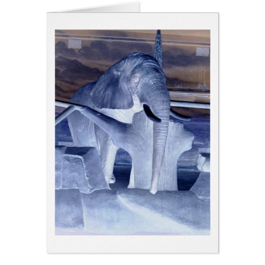 Elephant Pop Art Cards (Front)