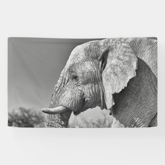 Elephant portrait banner (Horizontal)