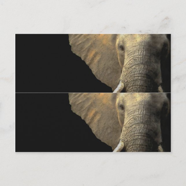 Elephant Portrait book marker Postcard (Front)