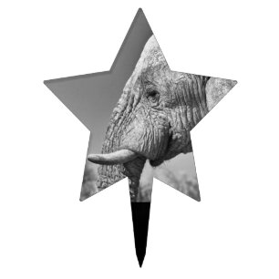 Elephant portrait cake topper