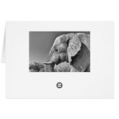 Elephant portrait cards (Back Horizontal)