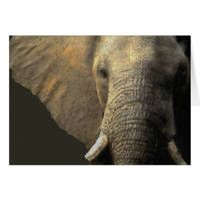 Elephant Portrait Cards (Front Horizontal)