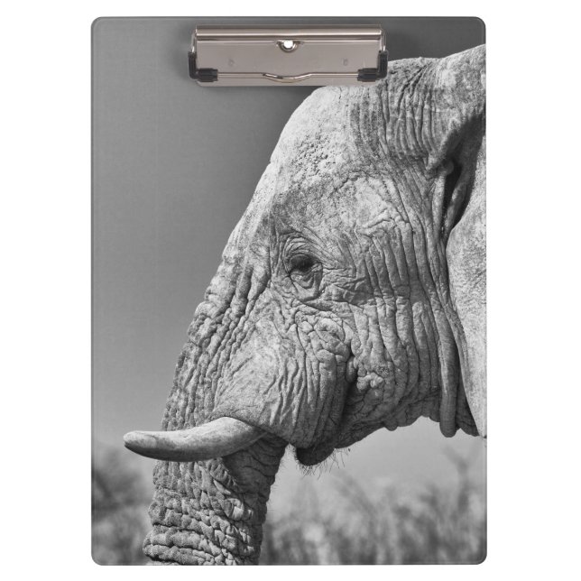 Elephant portrait clipboard (Front)