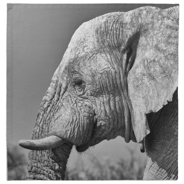 Elephant portrait cloth napkin (Front)