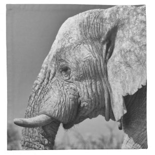 Elephant portrait cloth napkin