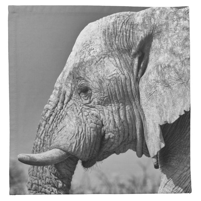 Elephant portrait cloth napkin (Front)