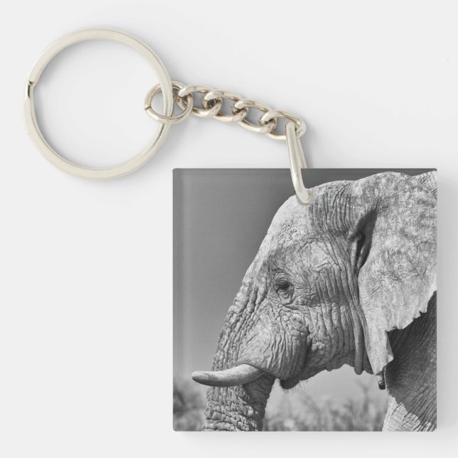Elephant portrait keychain (Front)