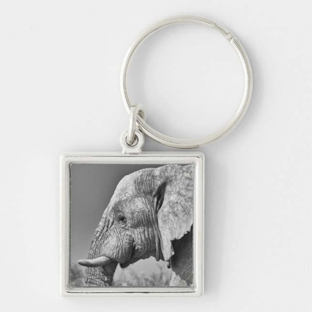 Elephant portrait keychain (Front)