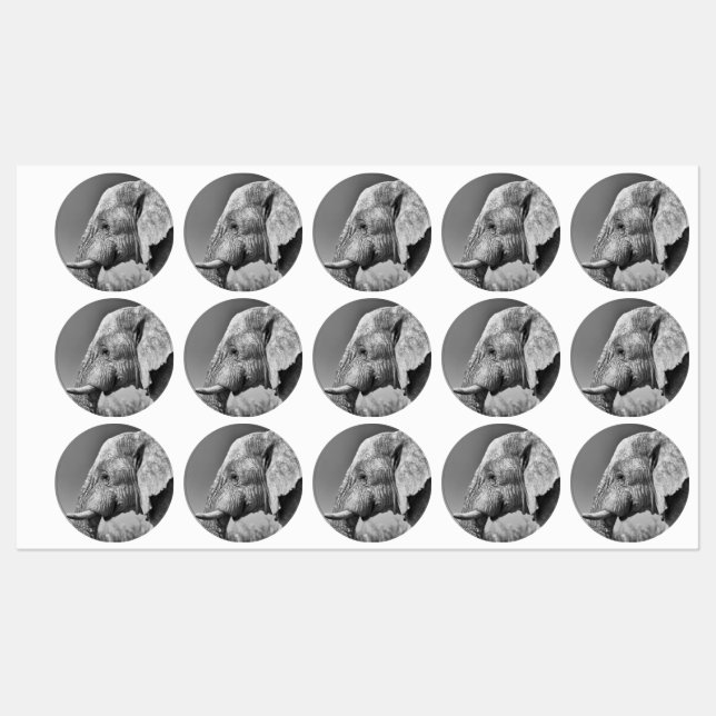 Elephant portrait labels (Sheet)