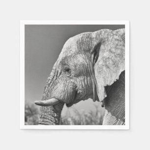 Elephant portrait napkins