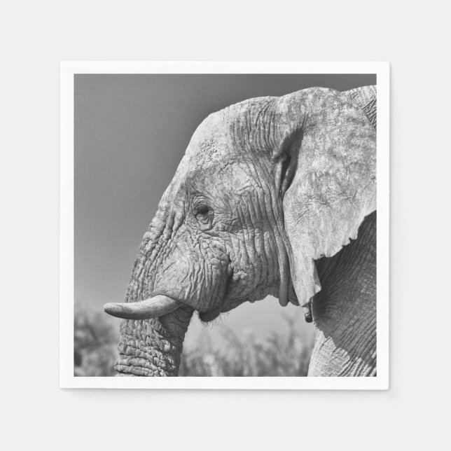 Elephant portrait napkins (Front)