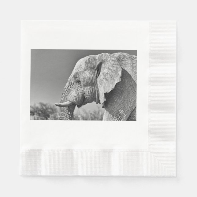 Elephant portrait napkins (Front)