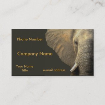 Elephant Portrait Pastel On Black Business Card by timelesscreations at Zazzle