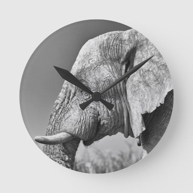 Elephant portrait round clock (Front)