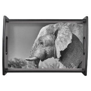 Elephant portrait serving tray