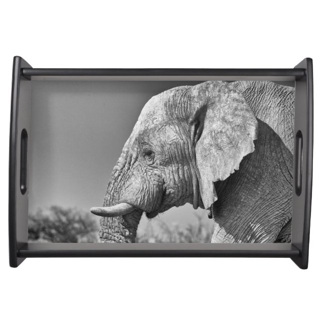 Elephant portrait serving tray (Front)