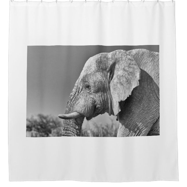 Elephant portrait shower curtain (Front)